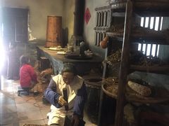 -广州神农草堂中医药博物馆