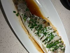 -船歌·鱼水饺青岛菜(金狮广场店)