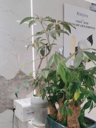 -LJOY丽锦造型·烫发染发
