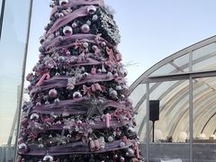 -Hi City·城市之巅