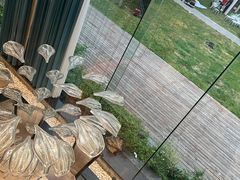 -唐廊烤鸭店(工体店)