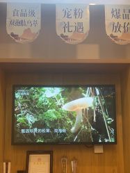 -丝域养发馆