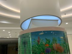 -慈铭体检(洋桥分院)