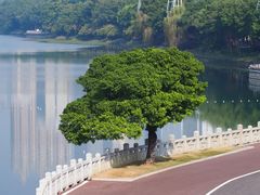-南宁南湖公园