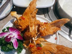 椒盐鱼翅-淘米捞·米汤脆鲩鱼火锅(福田皇岗店)