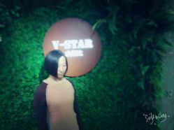 点击看大图 -V-STAR威斯达•高级私人定制