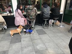 -RAC BAR(安福路店)