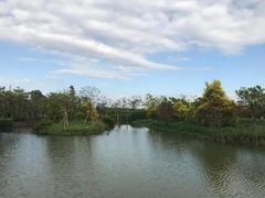 -大湾区中央湿地公园