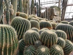 -南山植物园