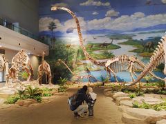 -自贡恐龙博物馆