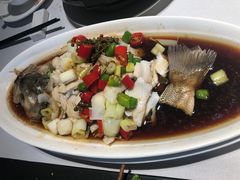鲜椒鲈鱼-一道餐厅(湖塘店)