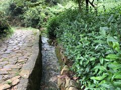 -缥缈峰景区