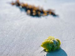 -三亚太阳湾柏悦酒店