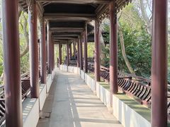 -上海佘山国家森林公园天马山园