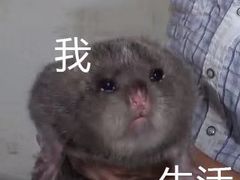 -大个子蒸饭