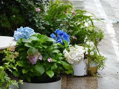 -伊斯坦布尔土耳其清真咖啡餐厅