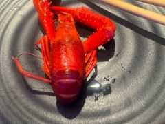 -红盔甲·小龙虾(定西路店)