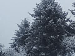 -太子岭滑雪场