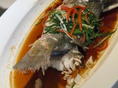 -院里寻菜·精致庭院菜(观沙岭店)