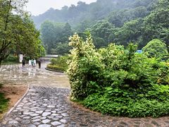 -黔灵山公园