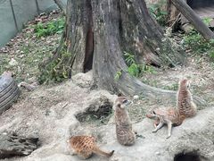 -成都动物园
