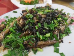 -雅丽餐厅
