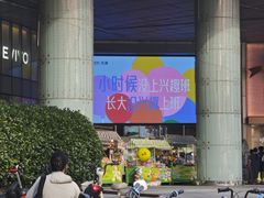 -鹏欣水游城