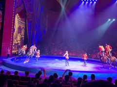 -珠海横琴长隆《卡卡虎奇遇记》