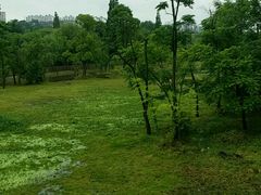 -贵阳市花溪国家城市湿地公园