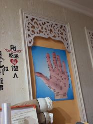 -金美秀养生瘦身