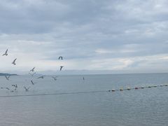 -那香海钻石沙滩浴场