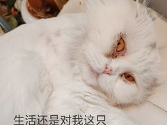 -小时光咖啡馆(北锣鼓巷店)