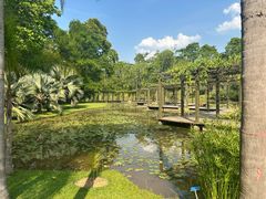 -中国科学院西双版纳热带植物园