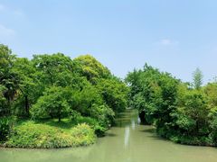 -西溪国家湿地公园