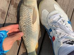 -酷鱼垂钓CLUB(朝阳区博大路店 )