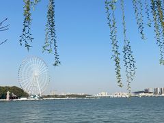 -无锡蠡湖国家湿地公园-蠡园