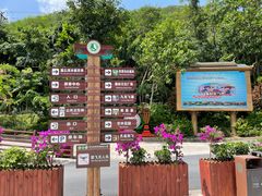 -西双版纳原始森林公园
