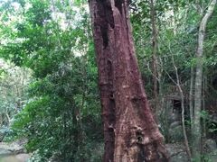 -七仙岭温泉国家森林公园