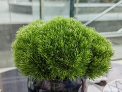 -茶源Fountain Lounge大堂吧·北京东方君悦大酒店