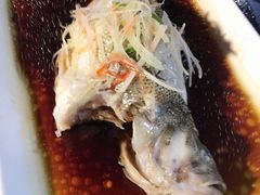 -云中小雅