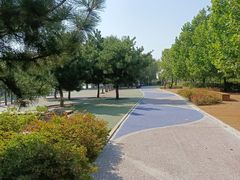 -羊亭河湿地公园