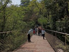 -敬亭山风景名胜区