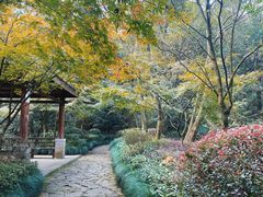 -杭州半山国家森林公园