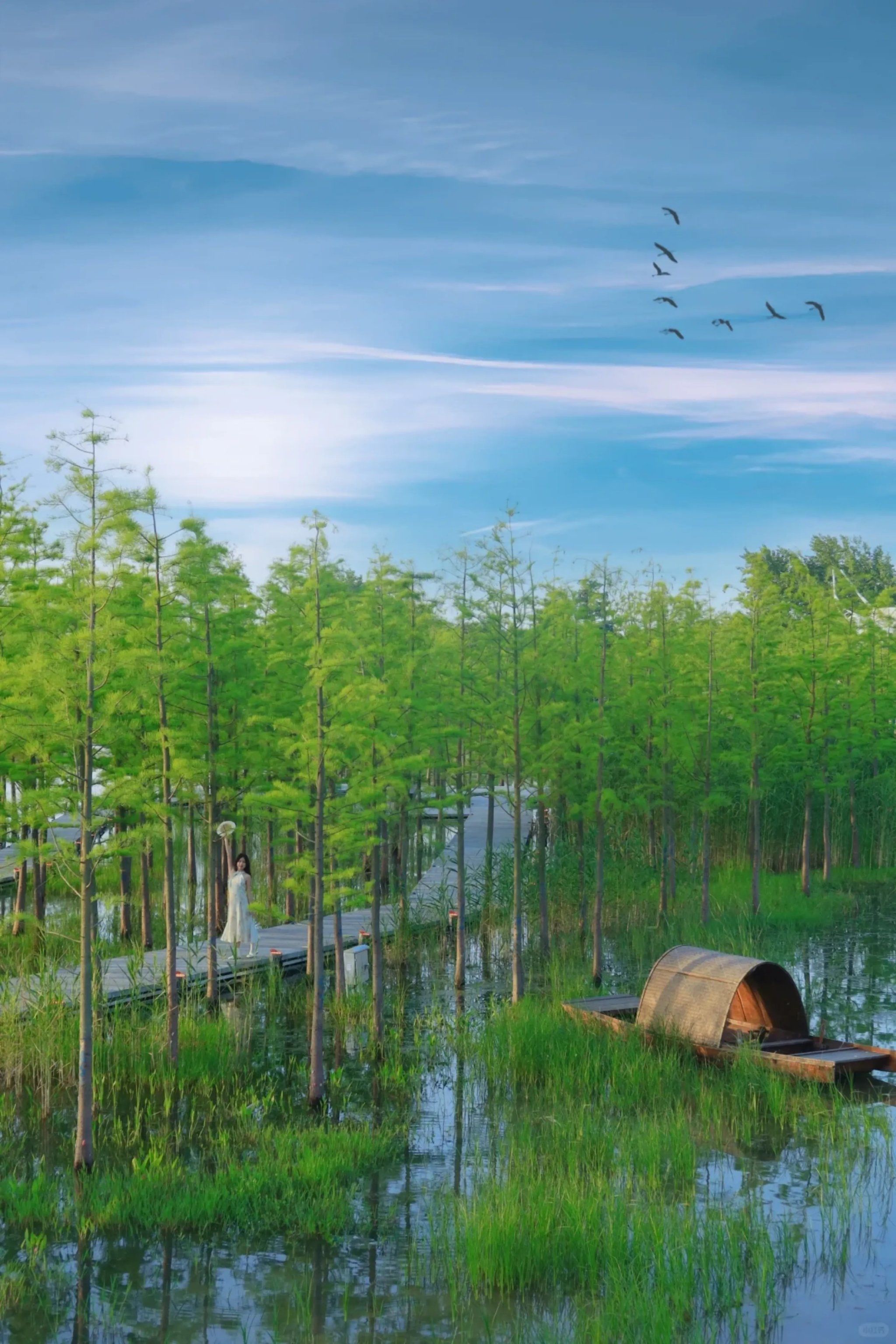 揭秘合肥隐藏仙境!非景德镇,非婺源,这处风景独好,美到窒息!