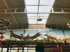 -北京鹿世界主题园