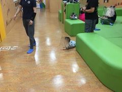-金宝贝早教(南山花园城店)