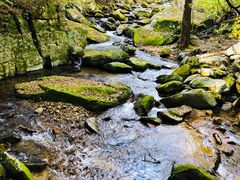 -丹东天桥沟景区