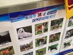 -宠颐生宠物医院外科·内科·皮肤科·影像科(石龙店)