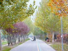 -永定河休闲森林公园