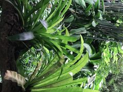 -麓湖高尔夫球俱乐部